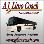 Ajlimo2013ad